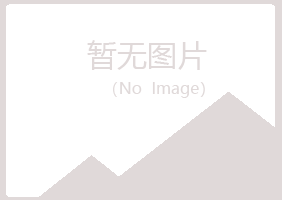 平昌县男孩能源有限公司